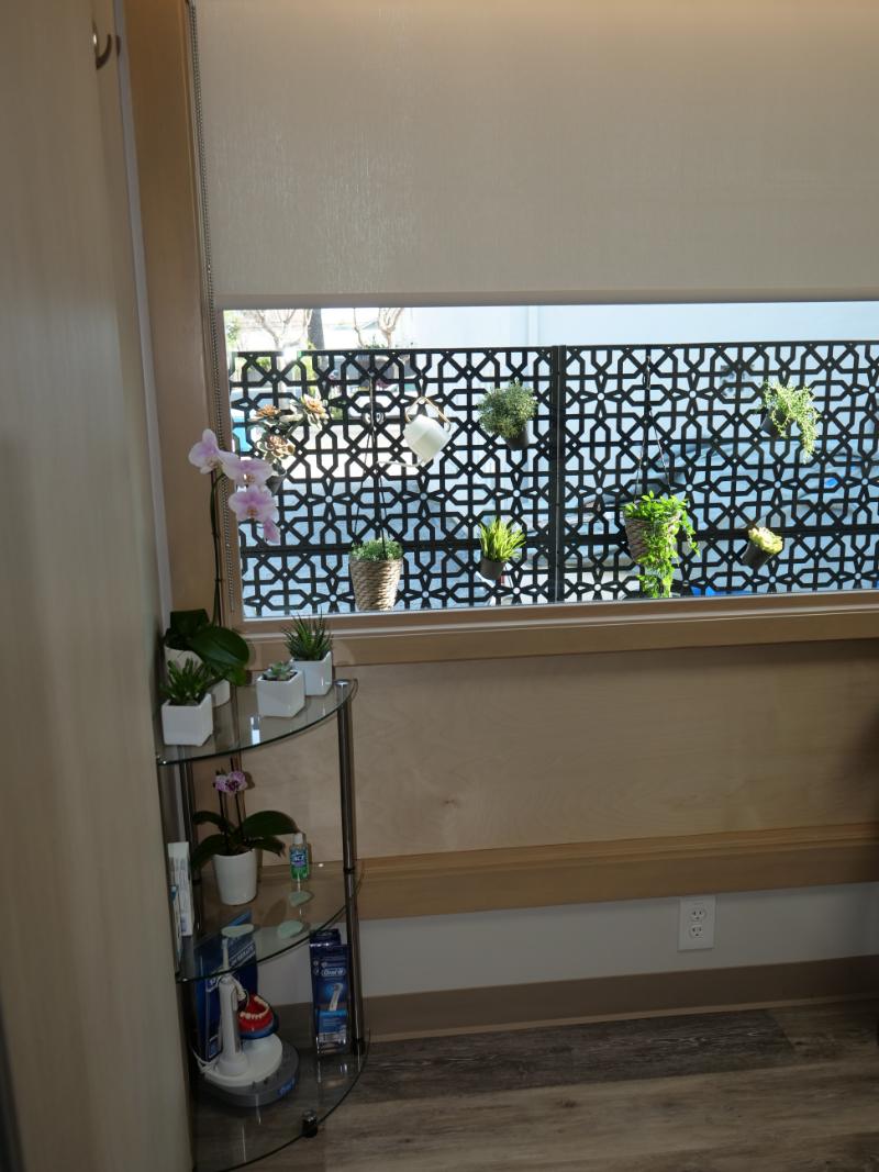 Ghina Morad, DMD | Proclaim Automated Cleaning , CBCT and Laser Dentistry