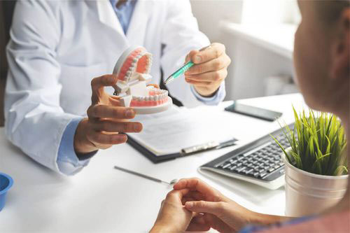 A dental professional holding a model tooth and jaw, assisting a patient during a consultation.