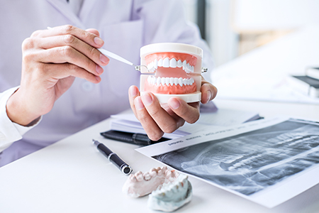A dentist holding a tray with dental models, examining them closely.